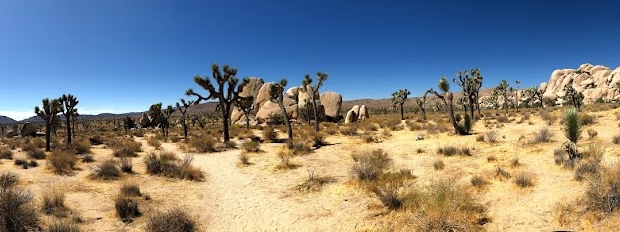 Route 66 & Joshua Tree Park